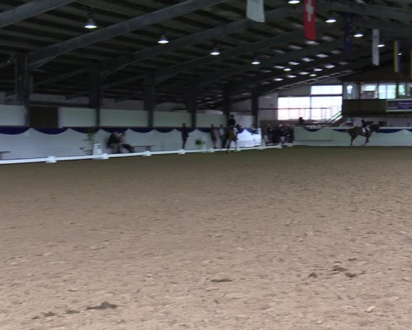 Reitturnier Münster-Albachten 2023