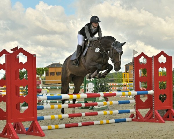 jumper Queen Kartlow (Mecklenburg, 2018, from Quidam de Revel)