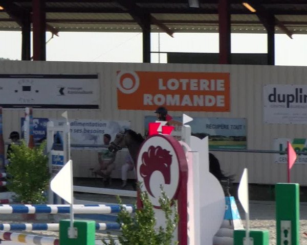Reitturnier Dompierre 2023