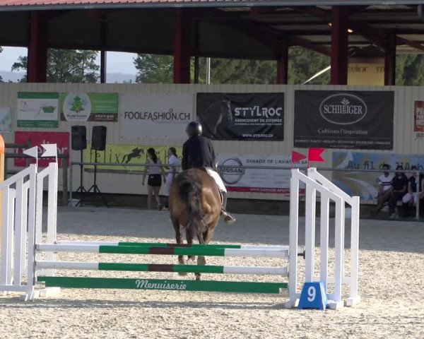 Reitturnier Dompierre 2023