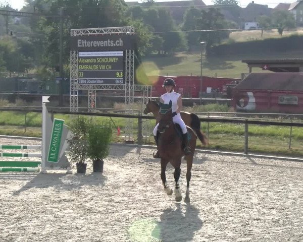 Reitturnier Dompierre 2023