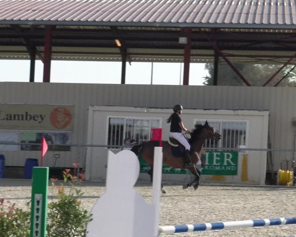 Reitturnier Dompierre 2023