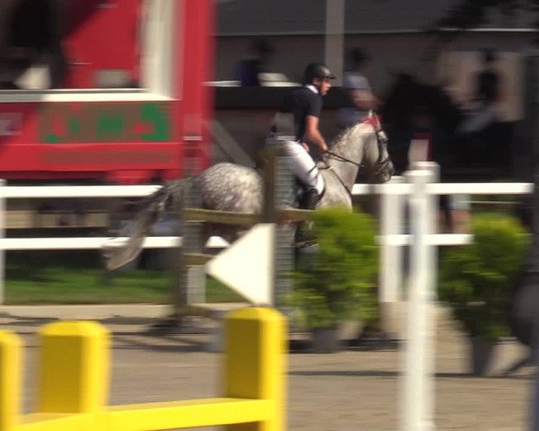 Reitturnier Dortmund-Asseln 2023