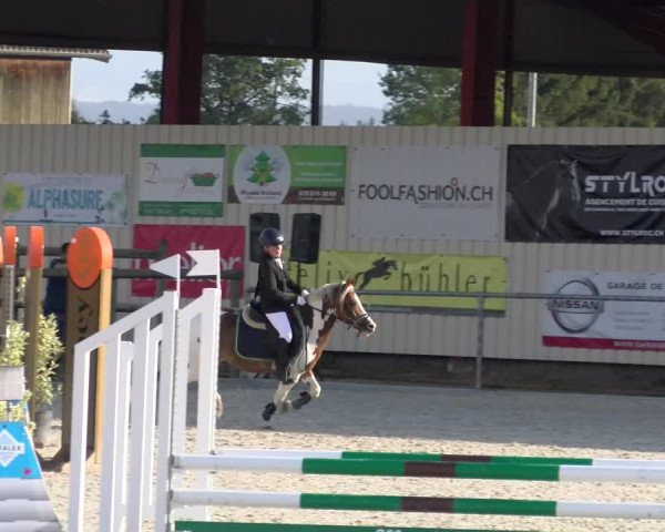 Reitturnier Dompierre 2023