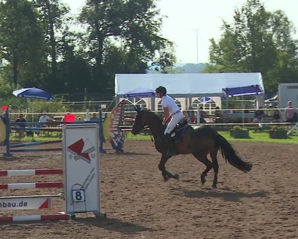 Reitturnier Demantsfürth/Mfr. 2023