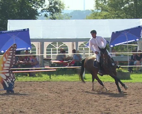 Reitturnier Demantsfürth/Mfr. 2023