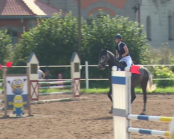 Reitturnier Demantsfürth/Mfr. 2023