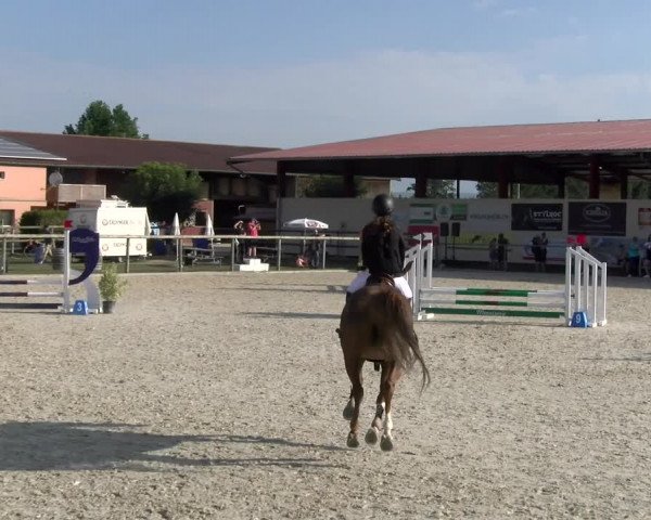 Reitturnier Dompierre 2023