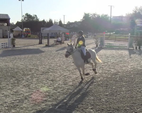 Reitturnier Dompierre 2023