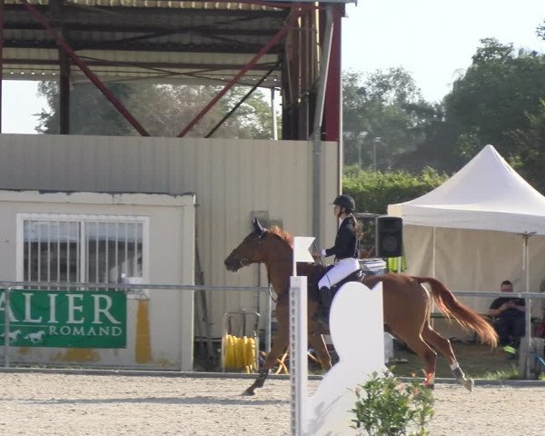 Reitturnier Dompierre 2023
