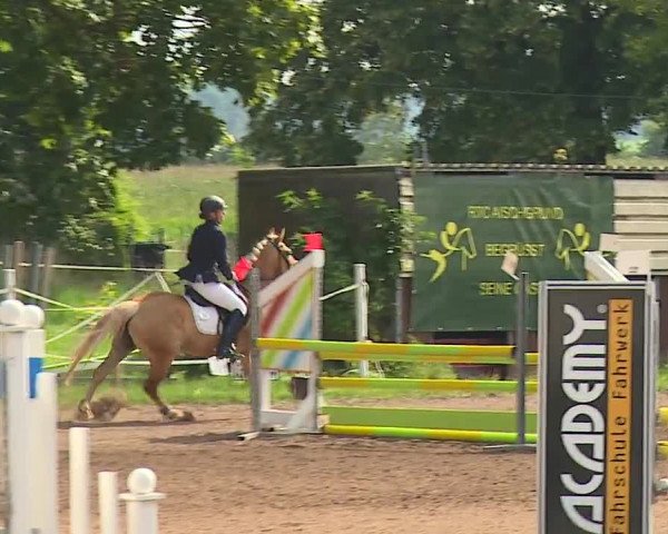 Reitturnier Demantsfürth/Mfr. 2023