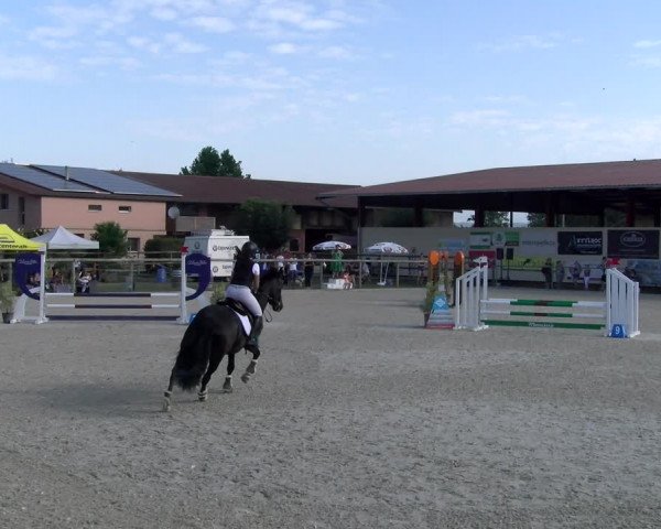 Reitturnier Dompierre 2023