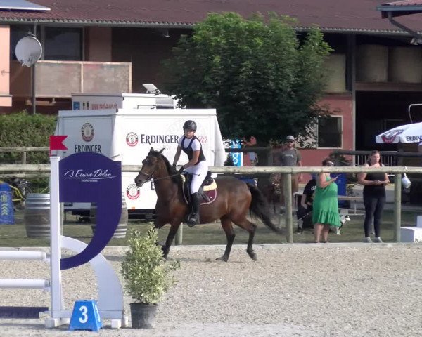 Reitturnier Dompierre 2023