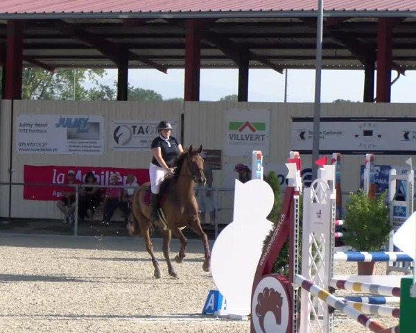 Reitturnier Dompierre 2023