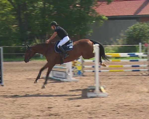 Reitturnier Demantsfürth/Mfr. 2023