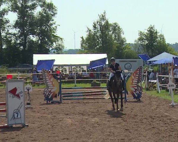 Reitturnier Demantsfürth/Mfr. 2023