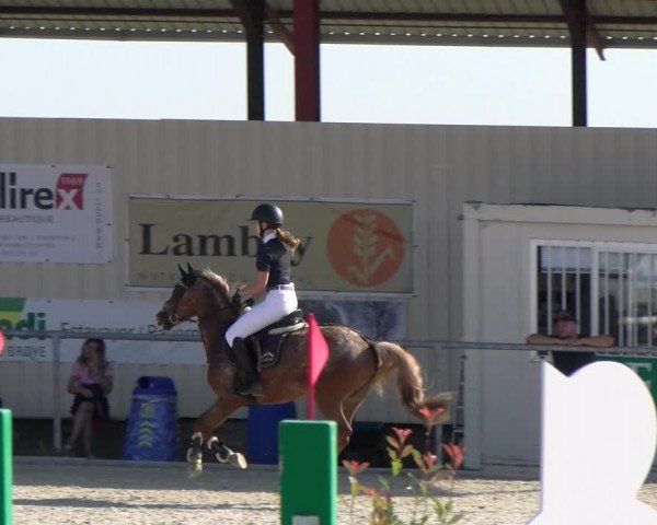 Reitturnier Dompierre 2023