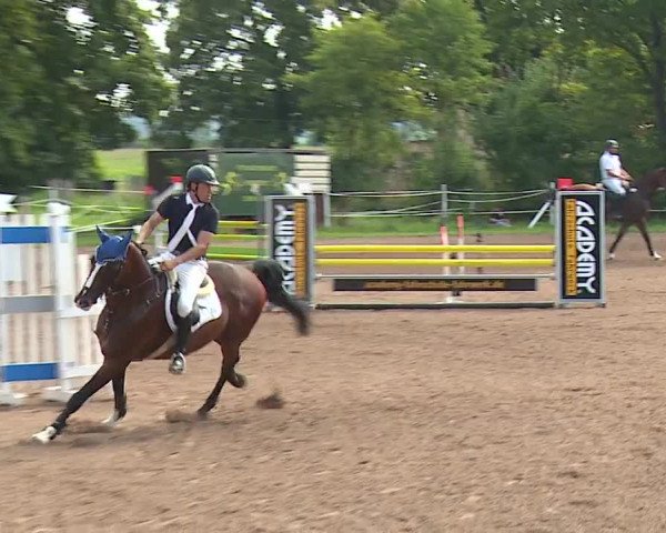 Reitturnier Demantsfürth/Mfr. 2023