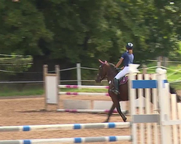 Reitturnier Demantsfürth/Mfr. 2023