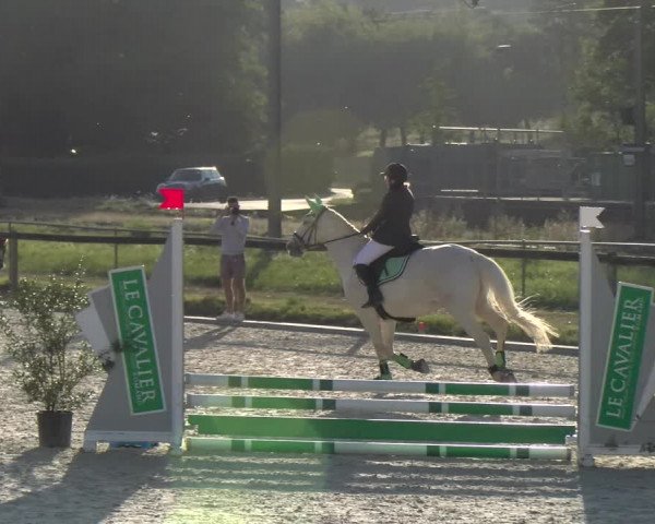 Reitturnier Dompierre 2023