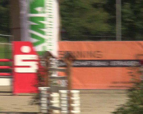 Reitturnier Münster-Albachten 2023