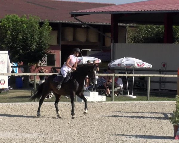 Reitturnier Dompierre 2023