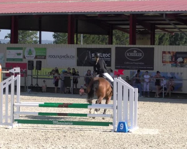 Reitturnier Dompierre 2023