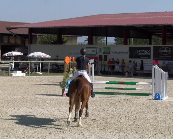 Reitturnier Dompierre 2023