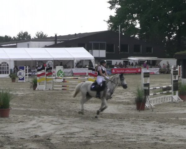 Reitturnier Datteln 2023
