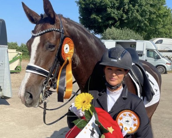 Dressurpferd Queeny 118 (Deutsches Sportpferd, 2014, von DSP Quasi Gold Md)