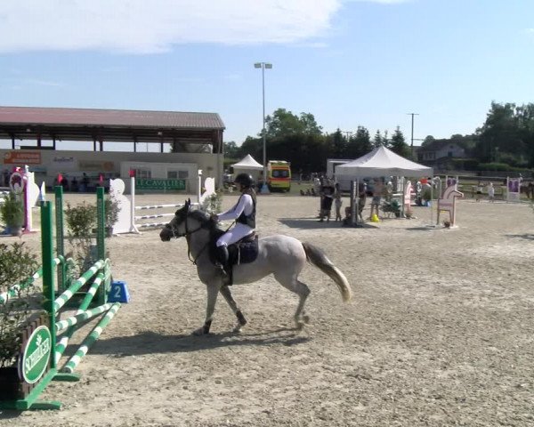 Reitturnier Dompierre 2023