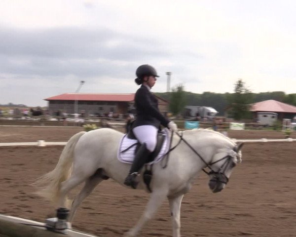 Reitturnier Altlandsberg 2023