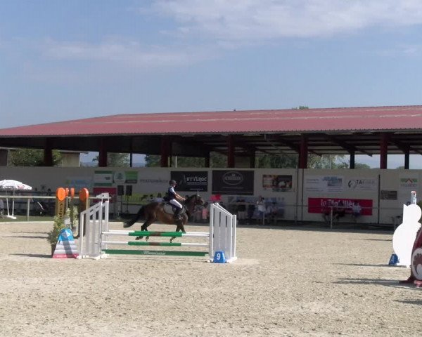 Reitturnier Dompierre 2023