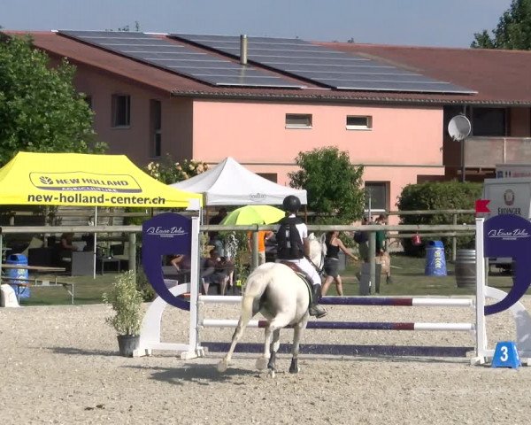 Reitturnier Dompierre 2023