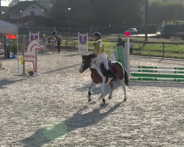 Reitturnier Dompierre 2023