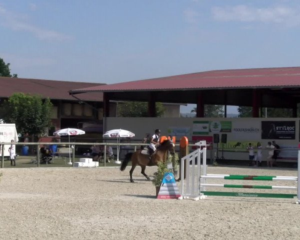 Reitturnier Dompierre 2023