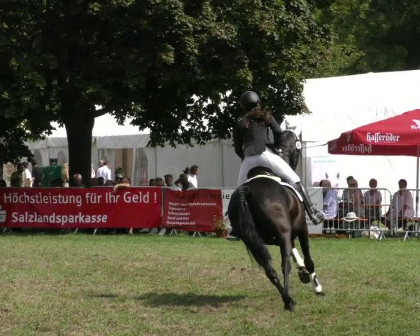 Reitturnier Aschersleben 2023