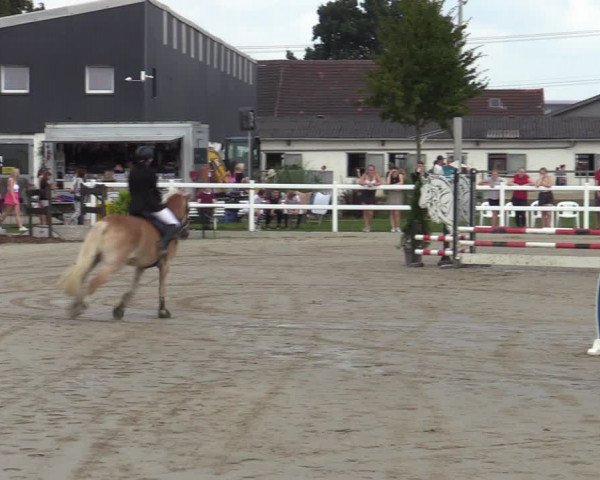 Reitturnier Dortmund-Asseln 2023