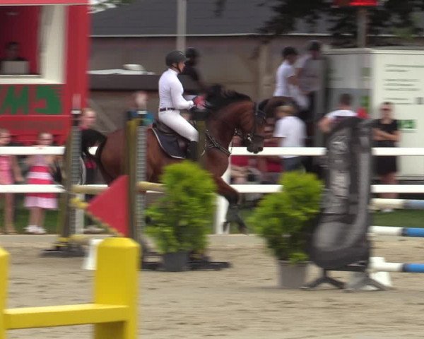 Reitturnier Dortmund-Asseln 2023