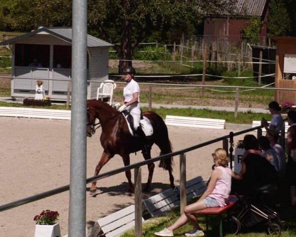 Reitturnier Köngen 2023