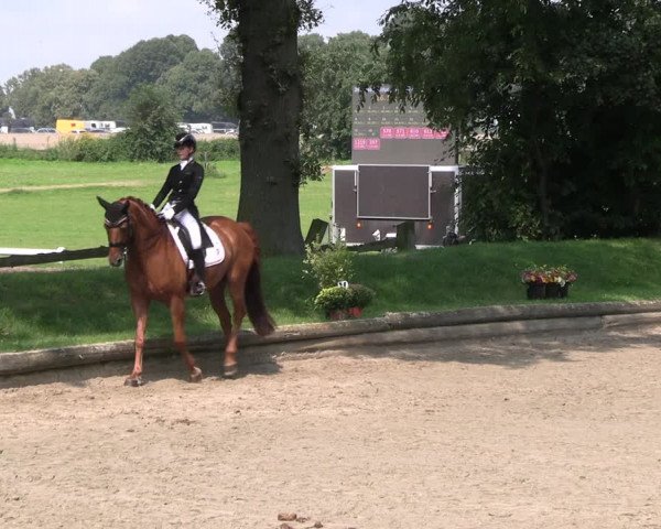 Reitturnier Datteln 2023