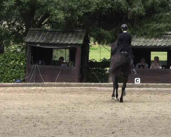 Reitturnier Datteln 2023