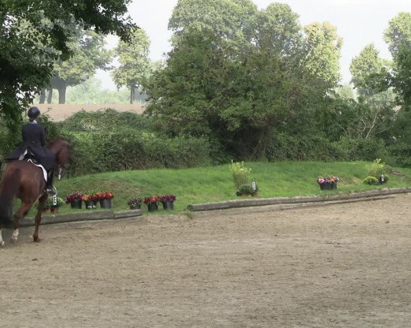 Reitturnier Datteln 2023