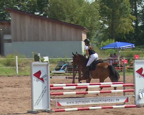 Reitturnier Demantsfürth/Mfr. 2023