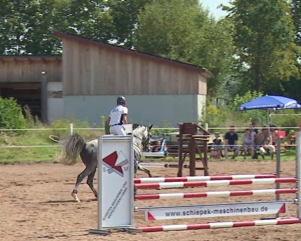 Reitturnier Demantsfürth/Mfr. 2023