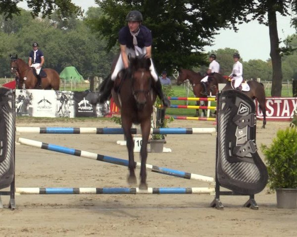 Reitturnier Dortmund-Asseln 2023