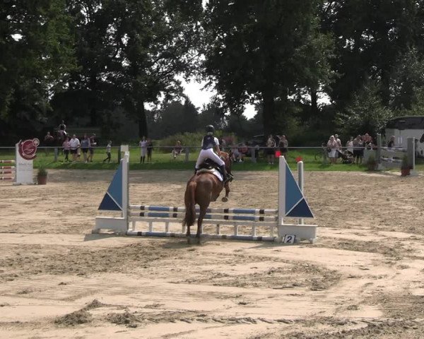 Reitturnier Datteln 2023