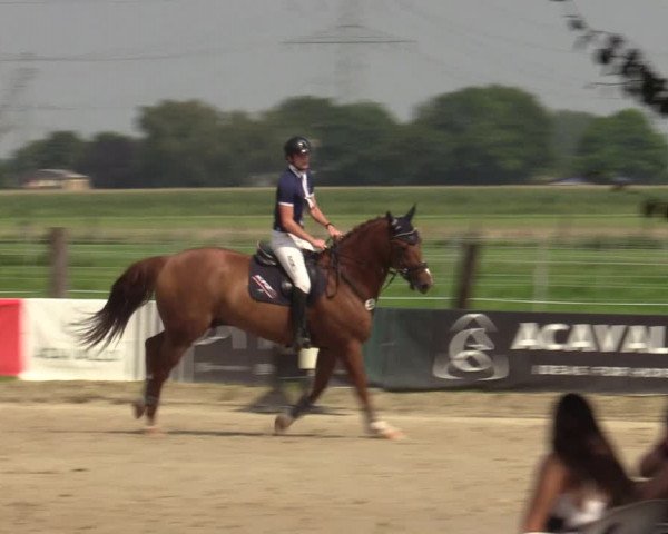 Reitturnier Dortmund-Asseln 2023