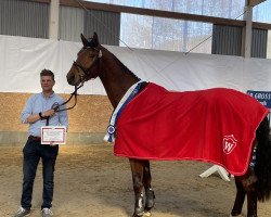 jumper Eldofault (Westphalian, 2019, from Eldorado van de Zeshoek)