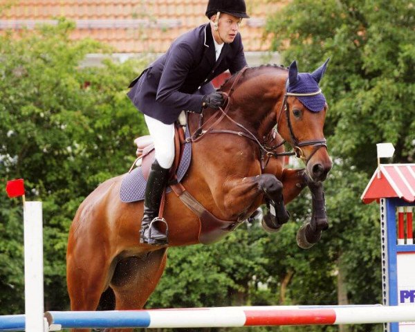 jumper Aringarosa (Hanoverian, 2002, from Acorado I)